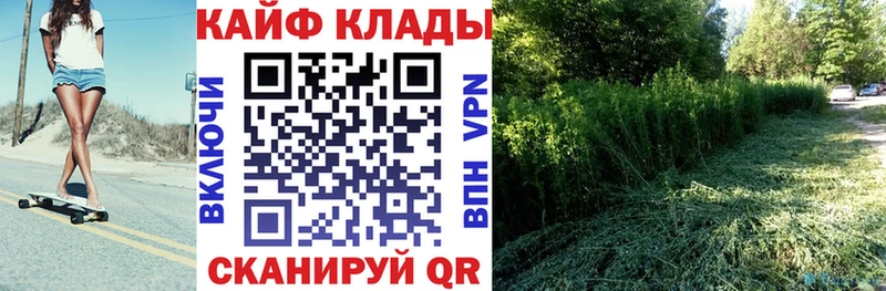 МЕФ Реутов