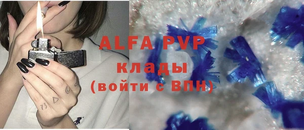стафф Козловка