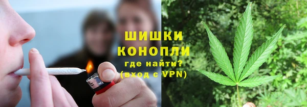ГАЛЛЮЦИНОГЕННЫЕ ГРИБЫ Навашино