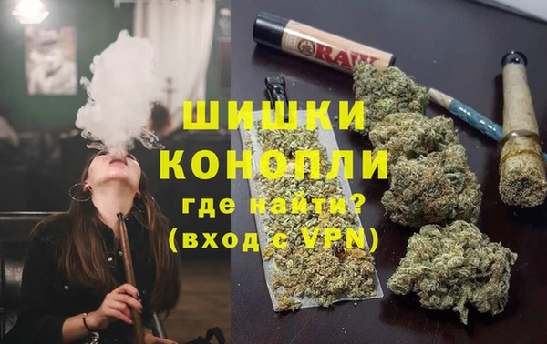 стафф Козловка