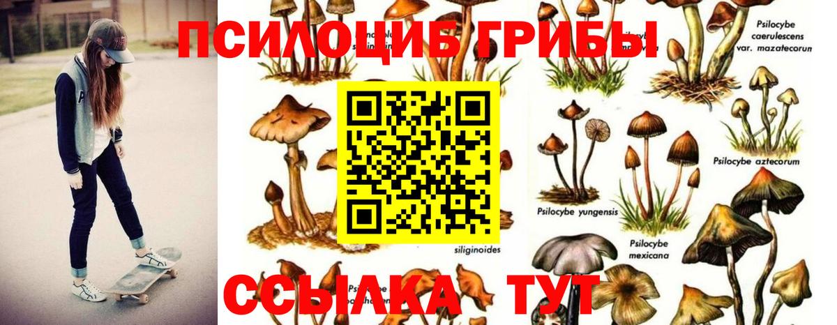 КОКАИН Реутов
