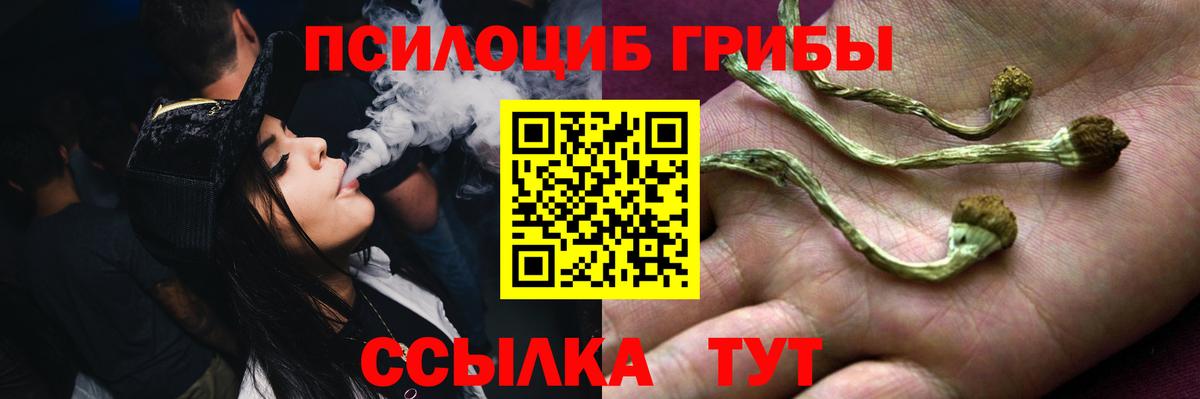 Реутов  Галлюциногенные грибы Psilocybe  Вход с VPN  где купить   Псилоцибиновые грибы мухоморы 