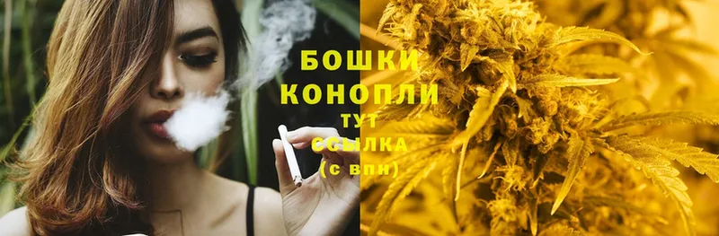 купить наркотики цена  Реутов  Марихуана сатива 